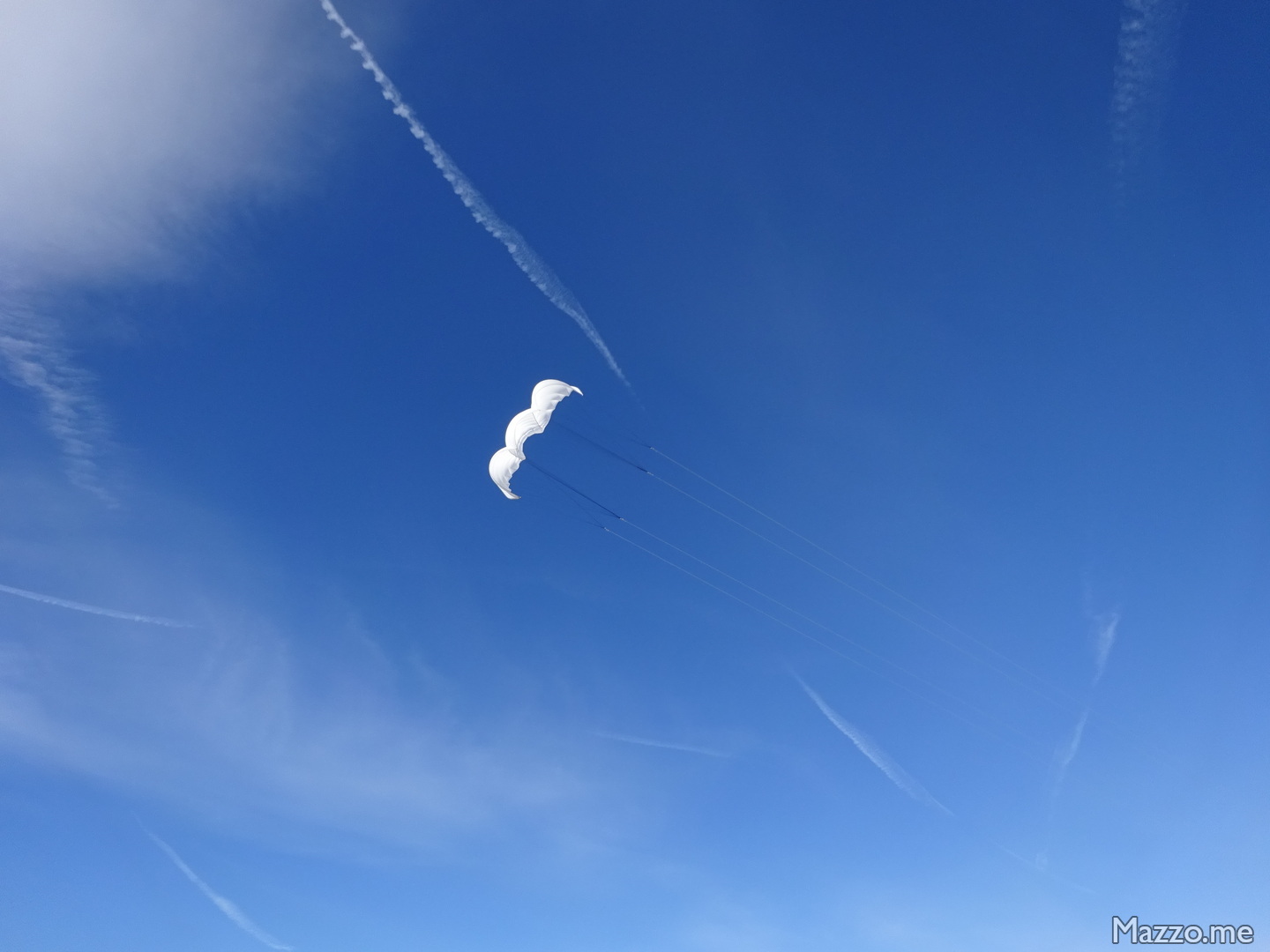 Vela Trazione NASA Wing